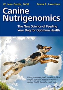Feeding your dog for optimum health